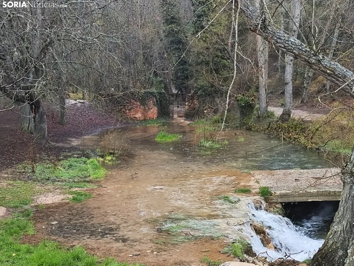 El paraje de La Toba (Fuentetoba).  SN