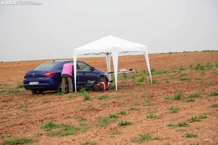 Rally de Almajano 2024