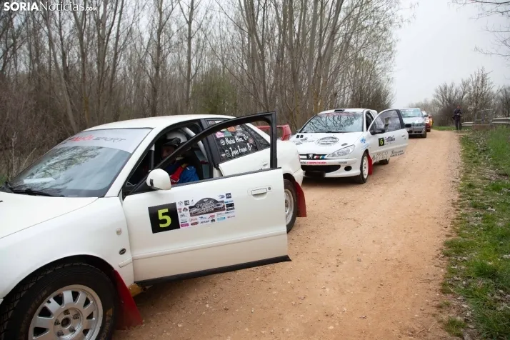 Rally de Almajano 2024