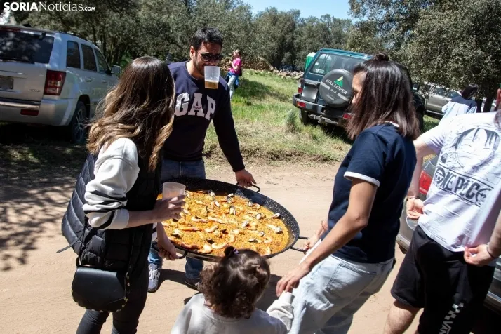 San Marcos en Ólvega 2024