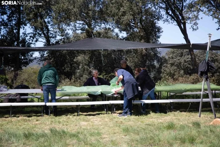 San Marcos en Ólvega 2024