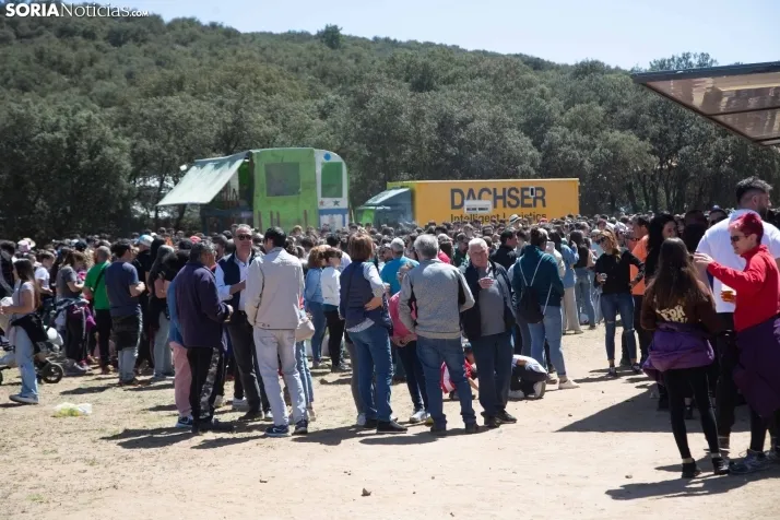 San Marcos en Ólvega 2024