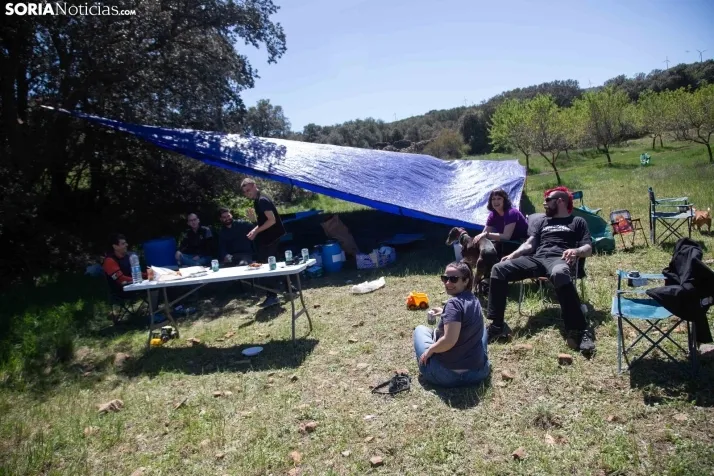 San Marcos en Ólvega 2024