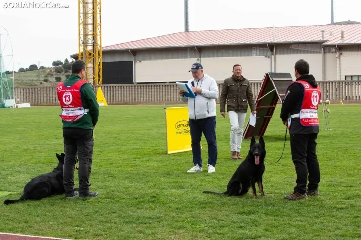 Torneo Nacional Pastores Alemanes