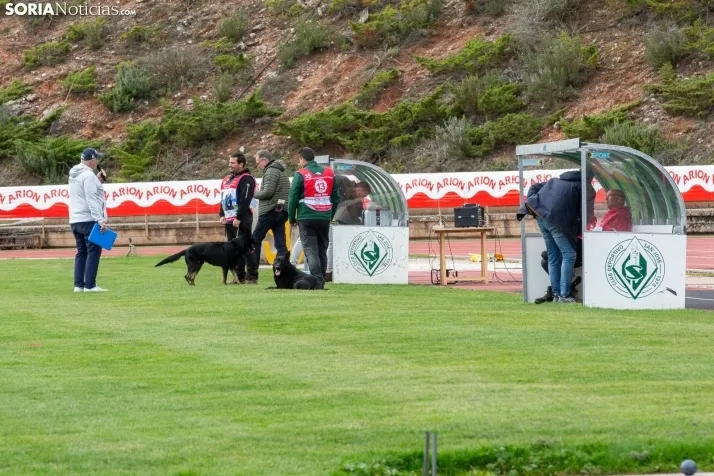 Torneo Nacional Pastores Alemanes