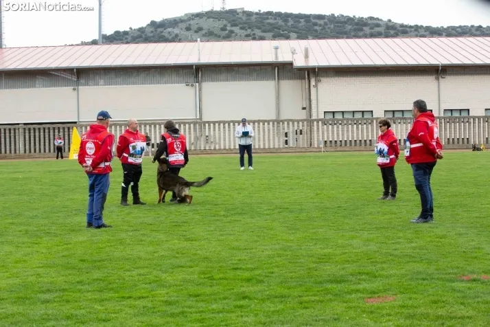 Torneo Nacional Pastores Alemanes