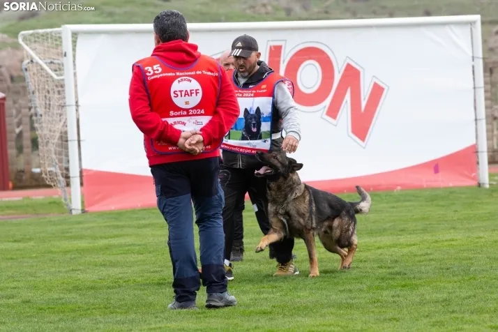Torneo Nacional Pastores Alemanes