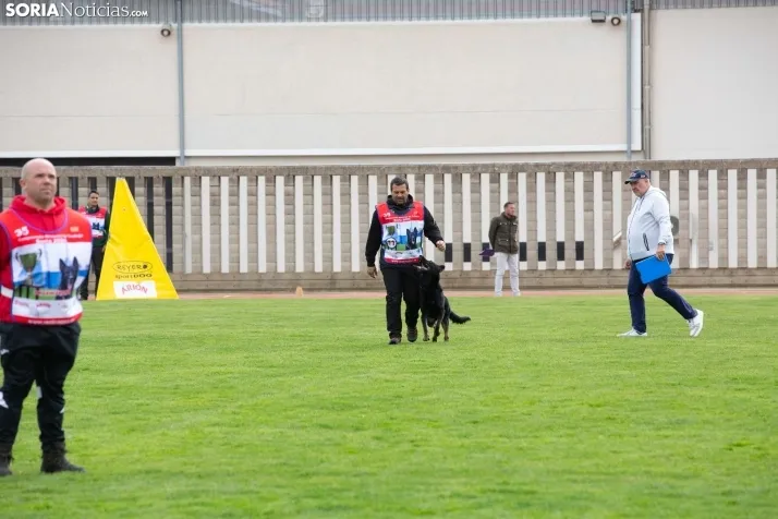 Torneo Nacional Pastores Alemanes