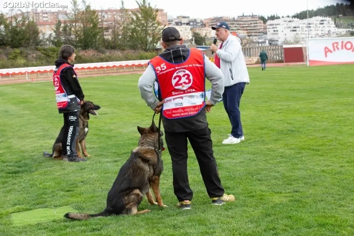 Torneo Nacional Pastores Alemanes