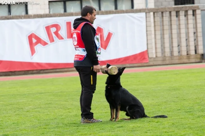 Torneo Nacional Pastores Alemanes