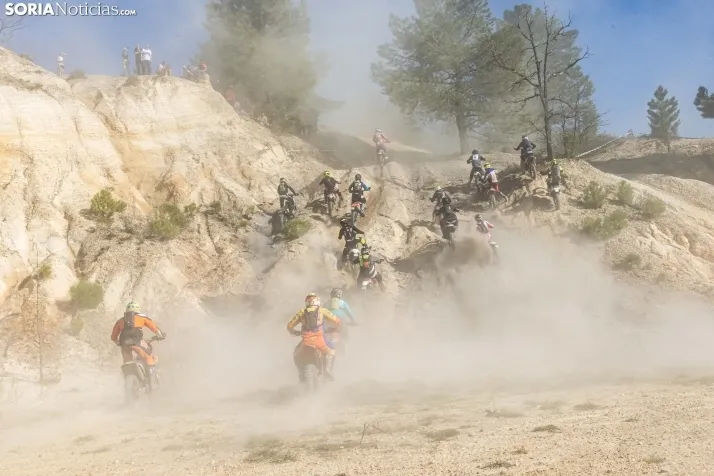 IX Cross Country de Fuentetoba./ Viksar Fotografía