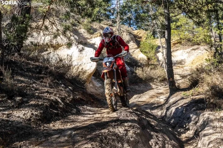 IX Cross Country de Fuentetoba./ Viksar Fotografía