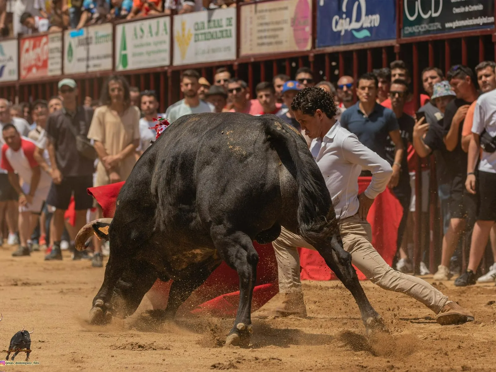 Foto 2 - Ignacio Lozano: &ldquo;Estoy a punto de cortarme la coleta en Espa&ntilde;a, pero antes tengo el sue&ntilde;o de torear en los Sanjuanes&rdquo;