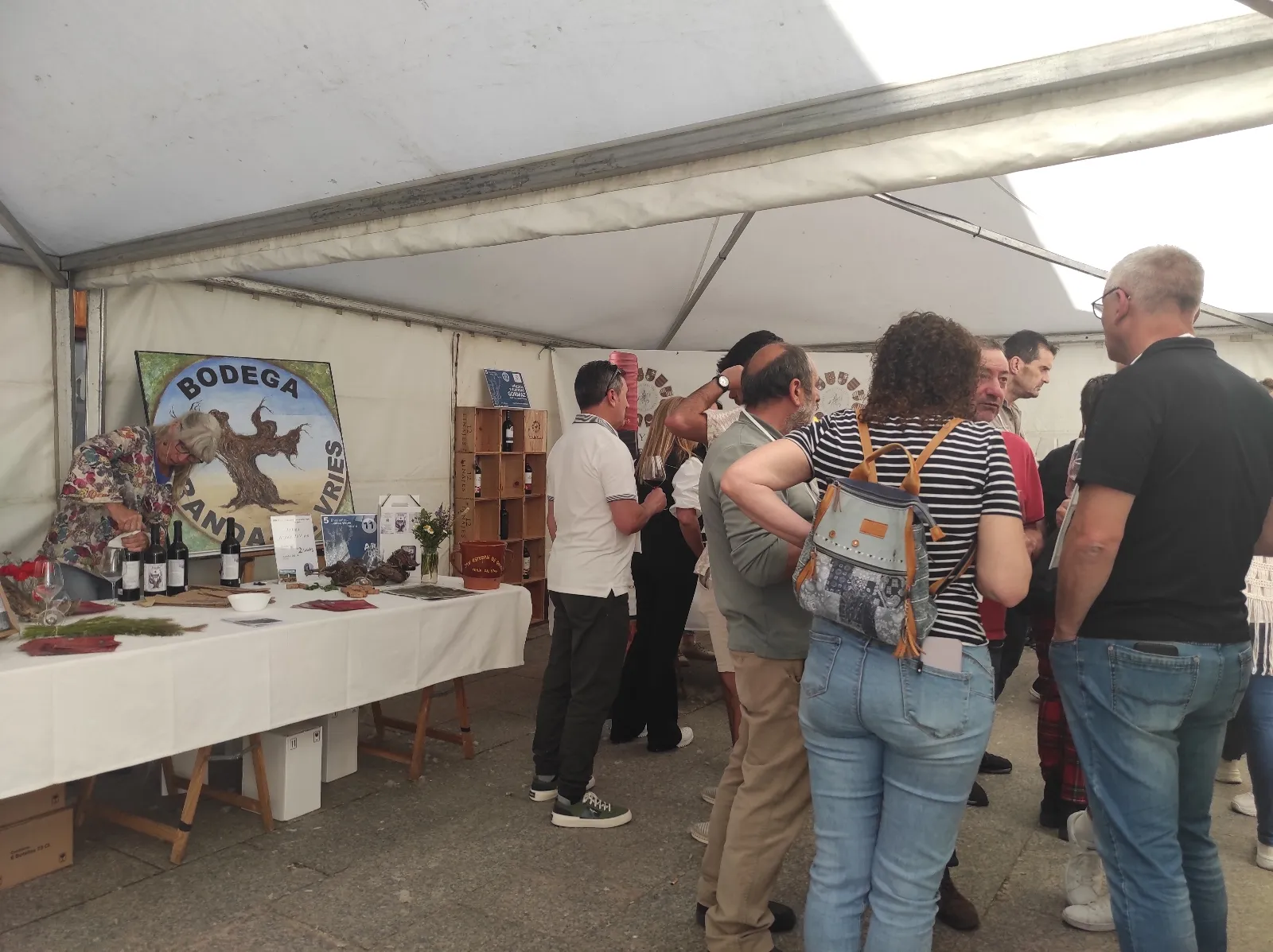 Foto 2 - Las Vi&ntilde;as Viejas de Soria ponen en valor el vino de la Ribera soriana vinculado su clima y su suelo
