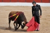 El diestro soriano Rubén Sanz el pasado julio en El Burgo | Imagen de David Cordero compartida en redes por el equipo de comunicación del torero.