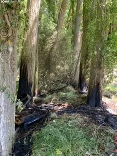 Una imagen del lugar tras el incendio. /SN