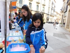 Foto 16 - FOTOS Y NOTICIA | M&aacute;s de 100 ni&ntilde;os participan en el mercadillo de &lsquo;Emprender en mi escuela&rsquo;