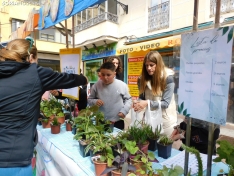 Foto 10 - FOTOS Y NOTICIA | M&aacute;s de 100 ni&ntilde;os participan en el mercadillo de &lsquo;Emprender en mi escuela&rsquo;