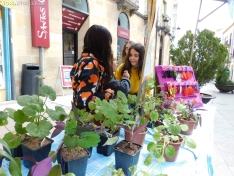 Foto 9 - FOTOS Y NOTICIA | M&aacute;s de 100 ni&ntilde;os participan en el mercadillo de &lsquo;Emprender en mi escuela&rsquo;