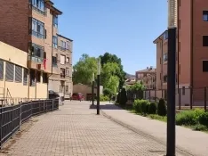 Foto 3 - 20 a&ntilde;os del Paseo Verde de El Burgo de Osma