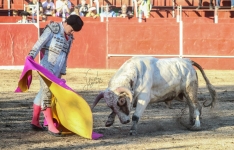 Foto 5 - Ignacio Lozano: “Estoy a punto de cortarme la coleta en España, pero antes tengo el sueño de torear en los Sanjuanes”
