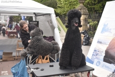 IV Feria de la Mascota de Soria.
