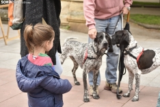 IV Feria de la Mascota de Soria.