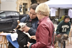 IV Feria de la Mascota de Soria.