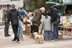 IV Feria de la Mascota de Soria.
