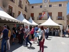 Foto 4 - Las Vi&ntilde;as Viejas de Soria ponen en valor el vino de la Ribera soriana vinculado su clima y su suelo