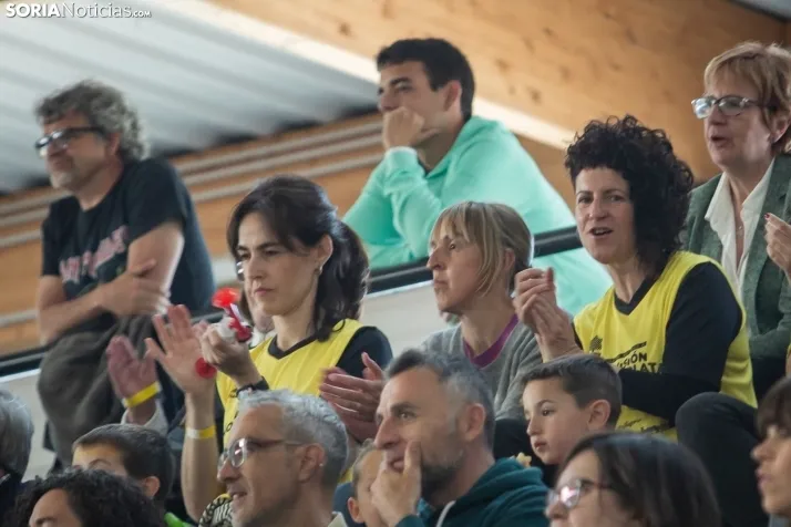 Play off a División de Honor Plata