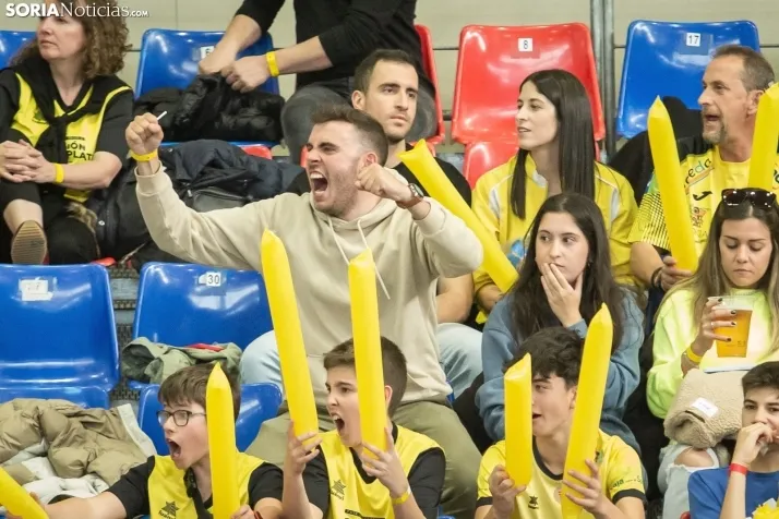 Play off a División de Honor Plata