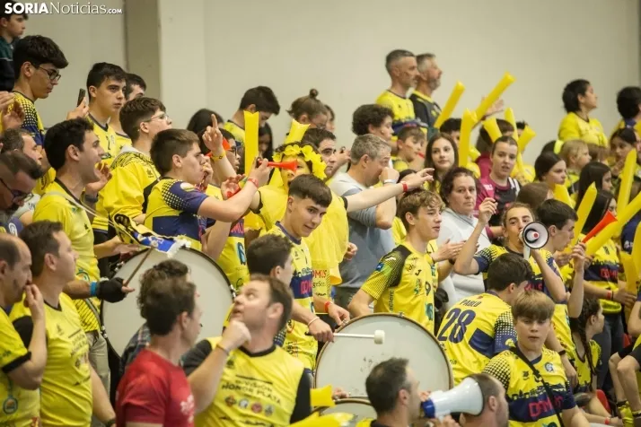 Play off a División de Honor Plata