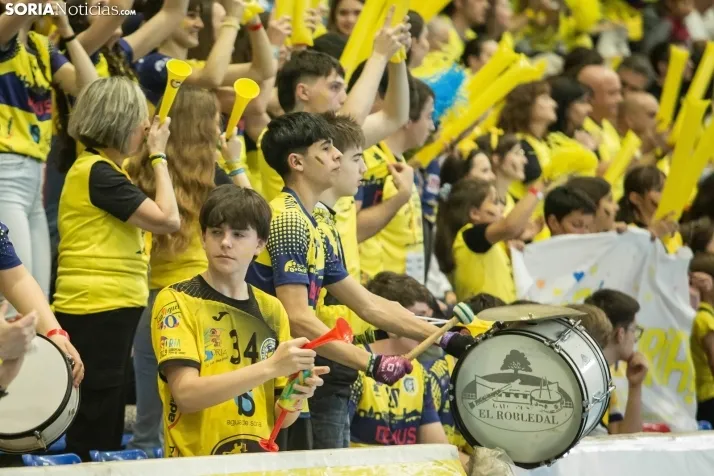 Play off a División de Honor Plata