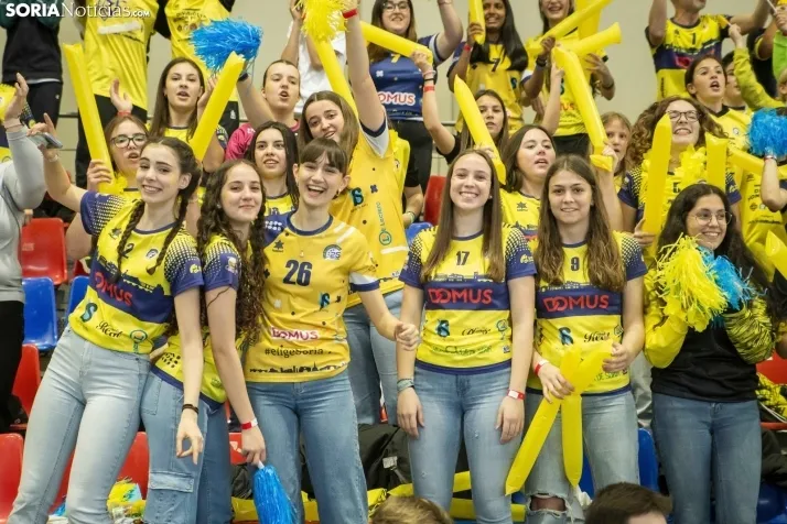 Play off a División de Honor Plata