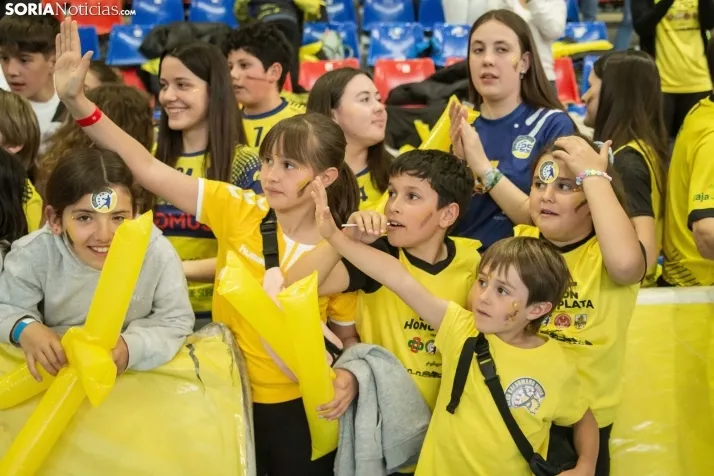 Play off a División de Honor Plata