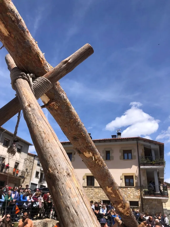 Cabrejas del Pinar levanta su mayo