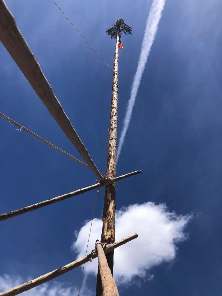 Cabrejas del Pinar levanta su mayo
