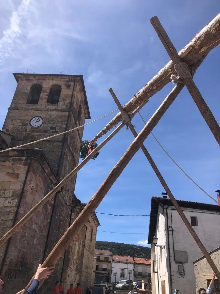 Cabrejas del Pinar levanta su mayo