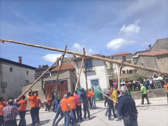 Cabrejas del Pinar levanta su mayo