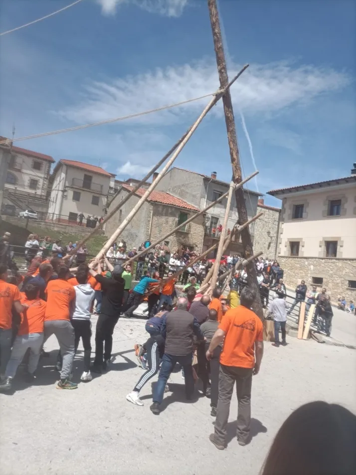 Cabrejas del Pinar levanta su mayo