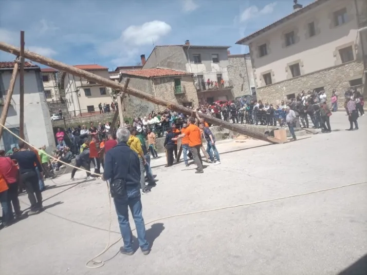 Cabrejas del Pinar levanta su mayo