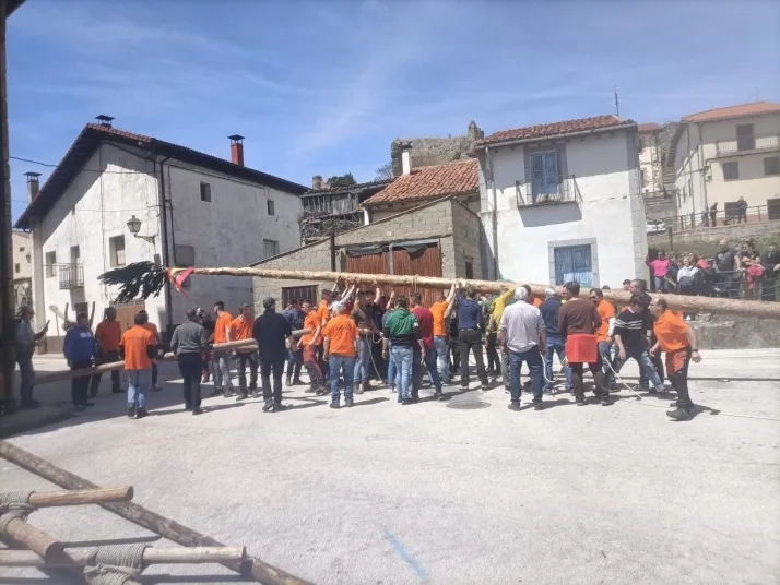 Cabrejas del Pinar levanta su mayo