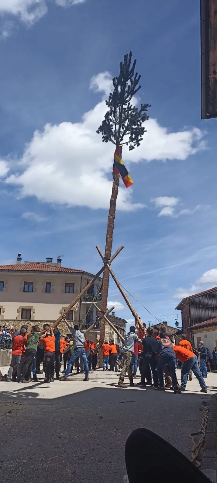 Cabrejas del Pinar levanta su mayo