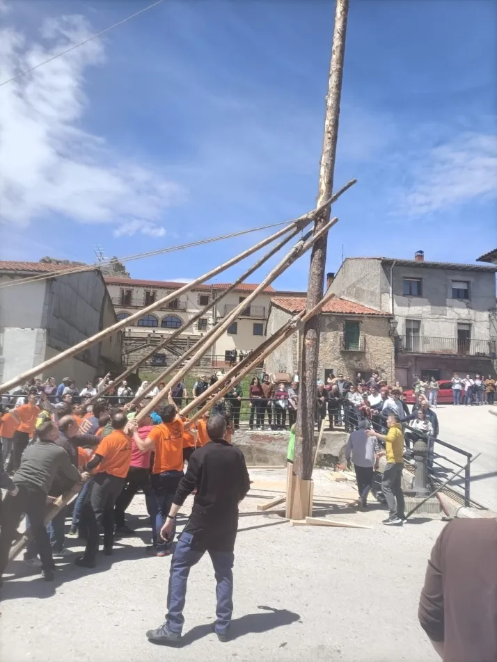 Cabrejas del Pinar levanta su mayo