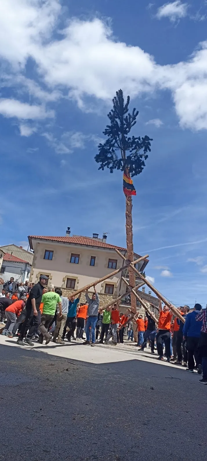 Cabrejas del Pinar levanta su mayo