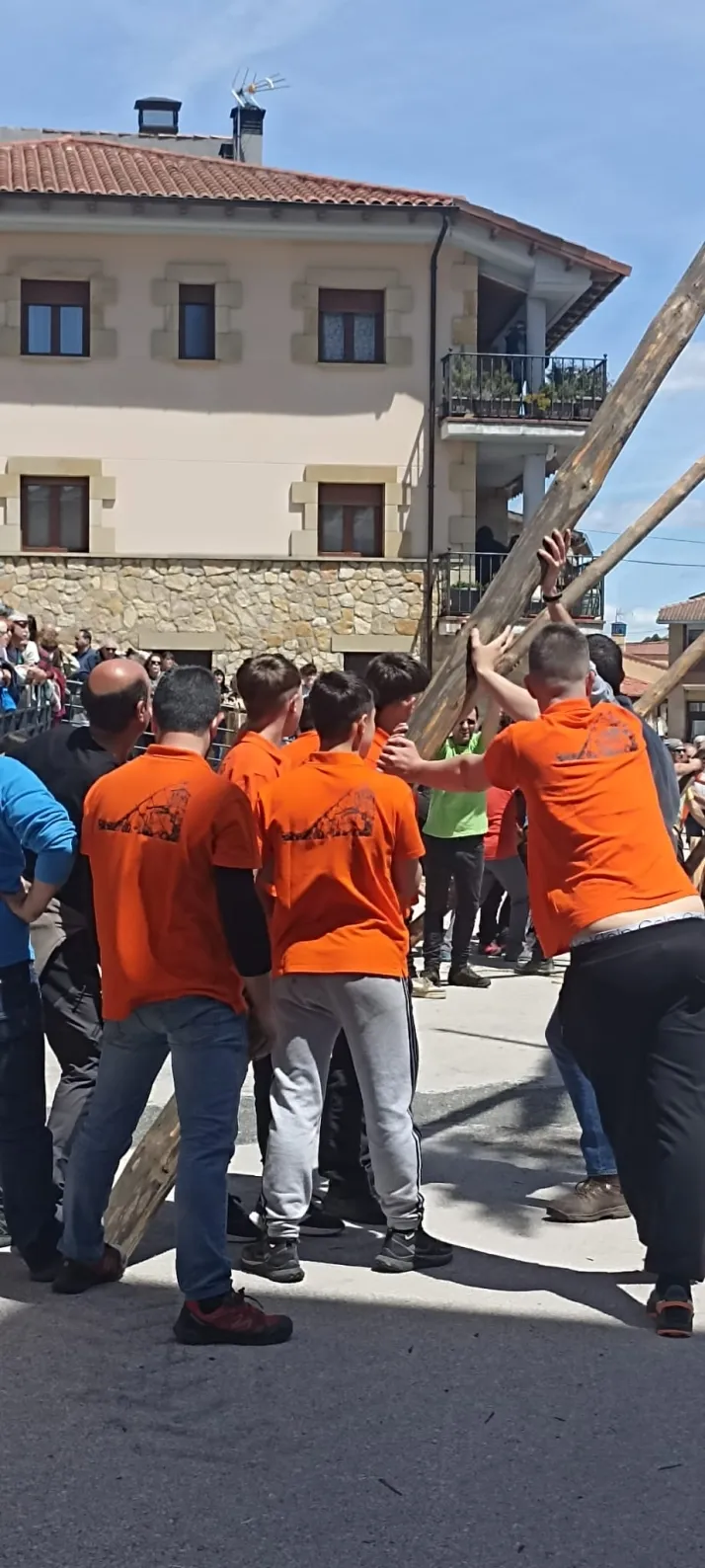 Cabrejas del Pinar levanta su mayo