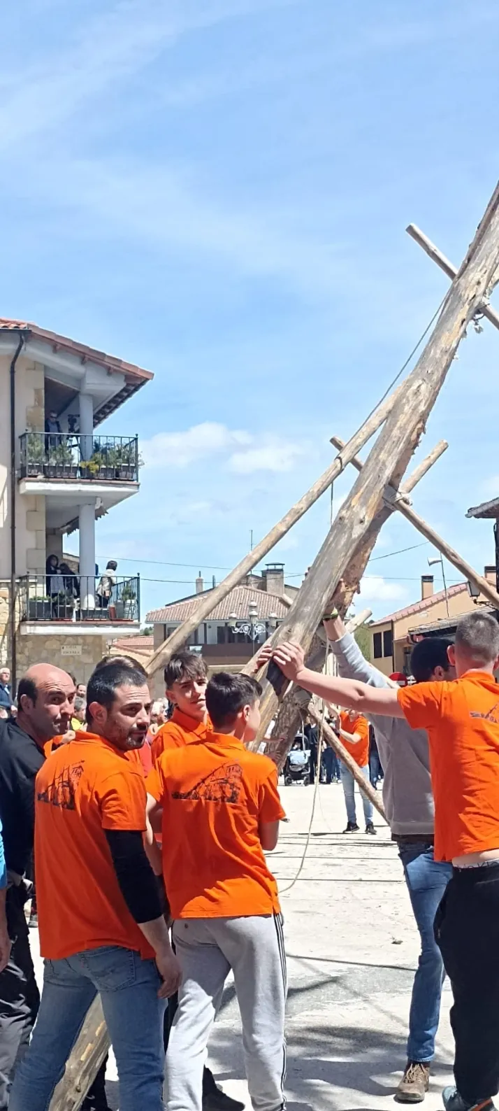Cabrejas del Pinar levanta su mayo