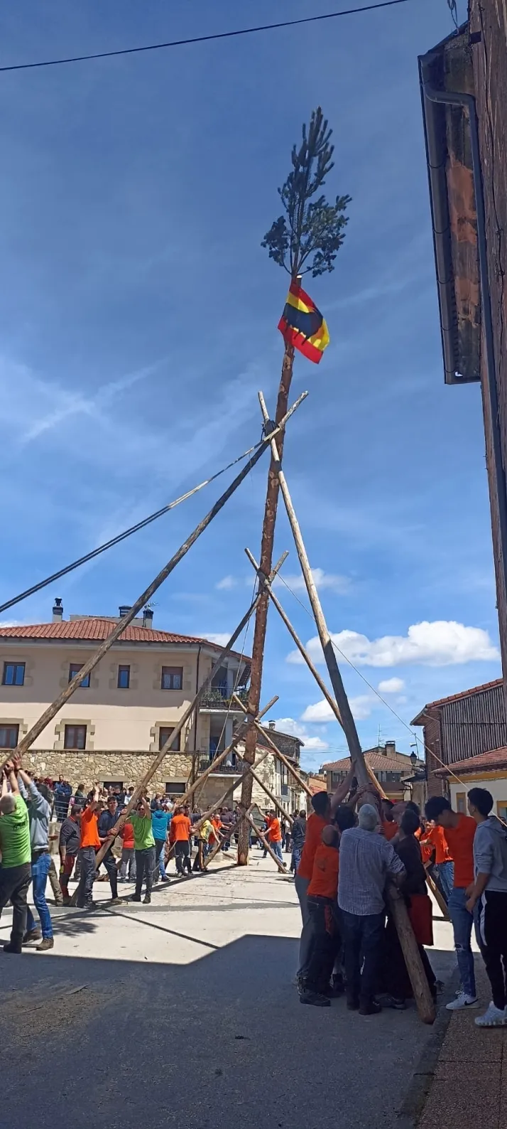 Cabrejas del Pinar levanta su mayo