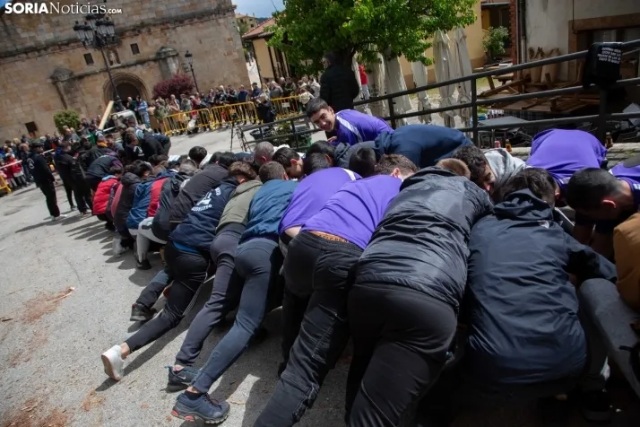 Pingada del Mayo en San Leonardo 2024